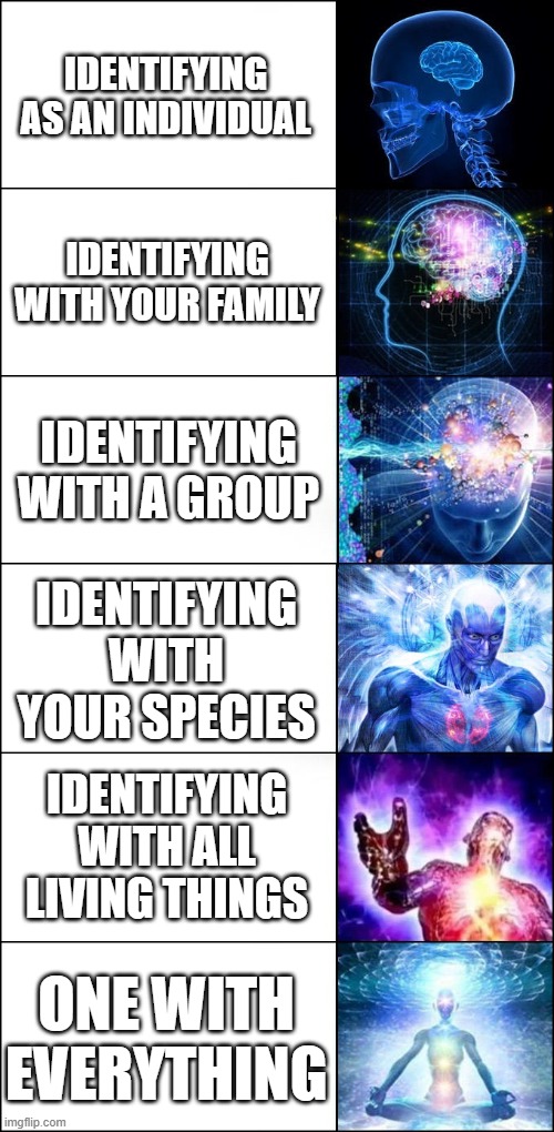 Becoming One With Everything | IDENTIFYING AS AN INDIVIDUAL; IDENTIFYING WITH YOUR FAMILY; IDENTIFYING WITH A GROUP; IDENTIFYING WITH YOUR SPECIES; IDENTIFYING WITH ALL LIVING THINGS; ONE WITH EVERYTHING | image tagged in galaxy brain 6-panel fixed,enlightenment,identity,identity crisis,nothing,everything | made w/ Imgflip meme maker