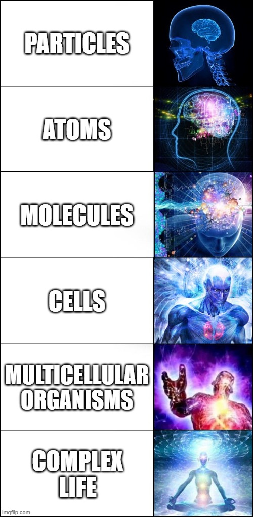 The Emergence Of Complex Life | PARTICLES; ATOMS; MOLECULES; CELLS; MULTICELLULAR ORGANISMS; COMPLEX LIFE | image tagged in galaxy brain 6-panel fixed,chemistry,organic chemistry,biology,evolution,life | made w/ Imgflip meme maker
