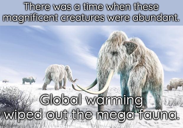 Climate change is no joke. | There was a time when these magnificent creatures were abundant. Global warming wiped out the mega fauna. | image tagged in wooly mammoth,extinction,check yourself before you wreck yourself | made w/ Imgflip meme maker