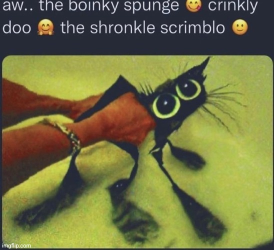 aww the little scrinklee | made w/ Imgflip meme maker
