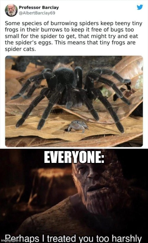 Good ending |  EVERYONE: | image tagged in perhaps i treated you too harshly,spider,frog | made w/ Imgflip meme maker
