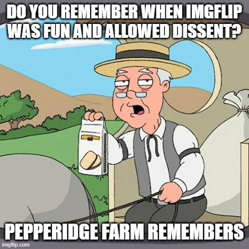 Pepperidge Farm Remembers Meme | DO YOU REMEMBER WHEN IMGFLIP WAS FUN AND ALLOWED DISSENT? PEPPERIDGE FARM REMEMBERS | image tagged in memes,pepperidge farm remembers | made w/ Imgflip meme maker