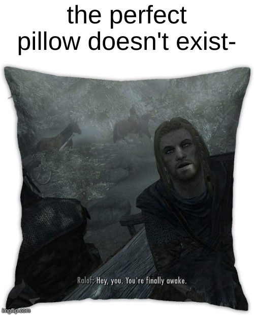 the perfect pillow doesn't exist- | made w/ Imgflip meme maker