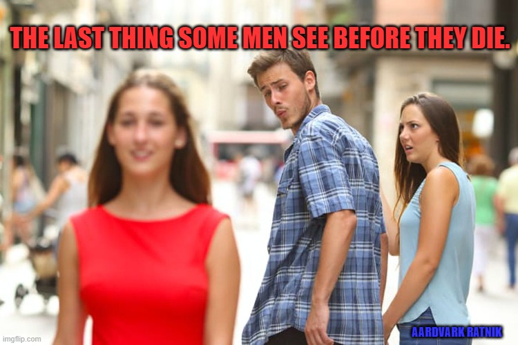 Last look. | THE LAST THING SOME MEN SEE BEFORE THEY DIE. AARDVARK RATNIK | image tagged in memes,distracted boyfriend,sexy women,funny memes,marriage | made w/ Imgflip meme maker