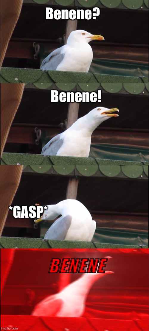 Inhaling Seagull Meme | Benene? Benene! *GASP*; BENENE | image tagged in memes,inhaling seagull | made w/ Imgflip meme maker