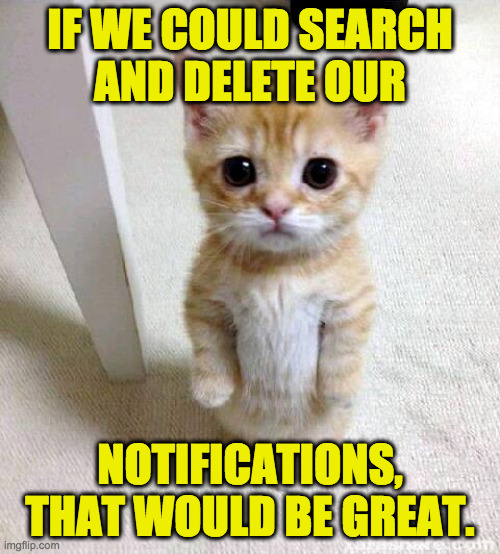 Cute Cat Meme | IF WE COULD SEARCH
AND DELETE OUR; NOTIFICATIONS, THAT WOULD BE GREAT. | image tagged in memes,cute cat | made w/ Imgflip meme maker