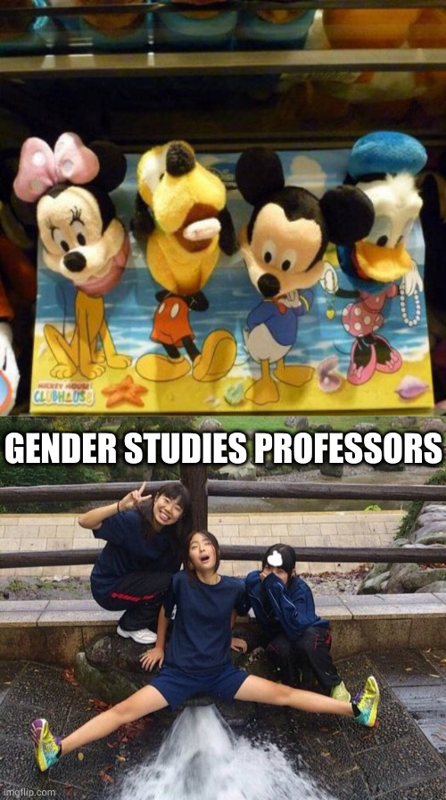 Agendaaaaaaaaaa a aa aaa a aa aaa | GENDER STUDIES PROFESSORS | image tagged in gender studies,society,collapse | made w/ Imgflip meme maker