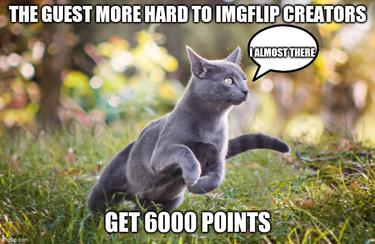 Cat GO! | THE GUEST MORE HARD TO IMGFLIP CREATORS; I ALMOST THERE; GET 6000 POINTS | image tagged in cat go | made w/ Imgflip meme maker