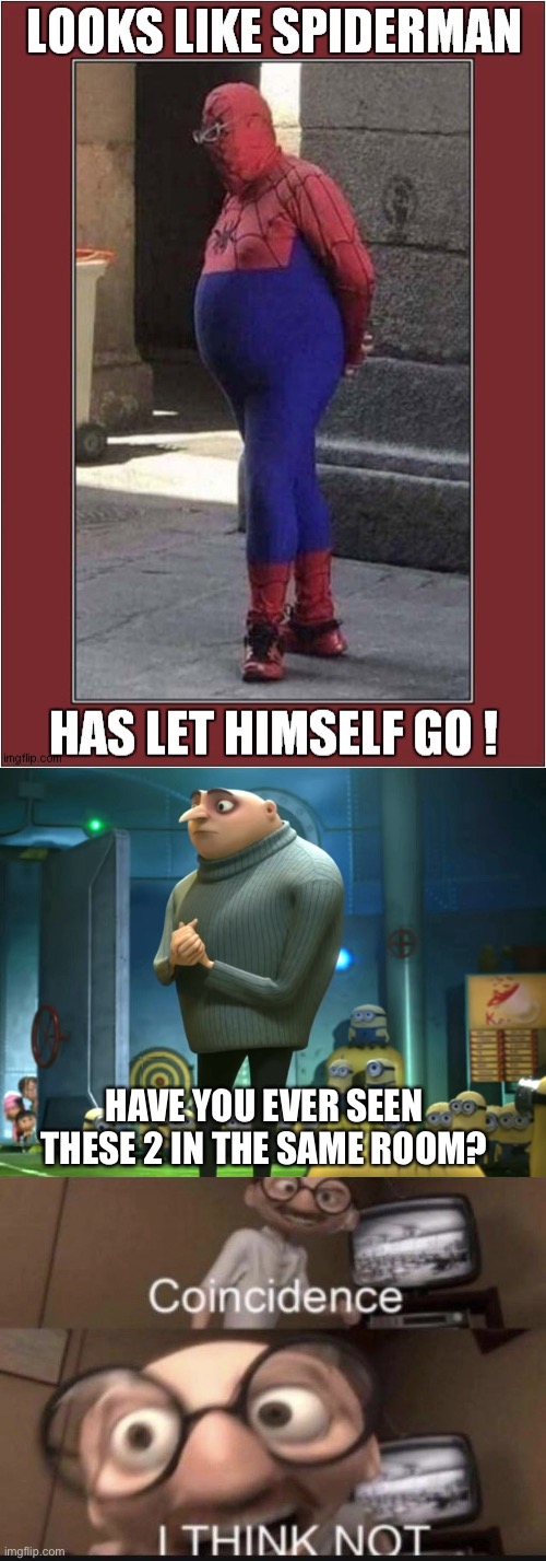 Gru vs Soiderman | HAVE YOU EVER SEEN THESE 2 IN THE SAME ROOM? | image tagged in in terms of money we have no money,coincidence i think not,gru meme,spiderman | made w/ Imgflip meme maker