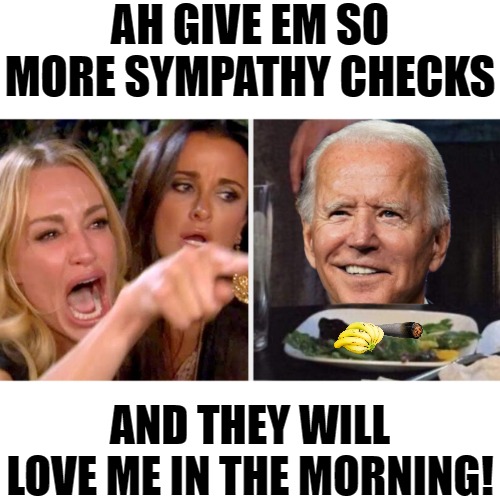 check me out | AH GIVE EM SO MORE SYMPATHY CHECKS; AND THEY WILL LOVE ME IN THE MORNING! | image tagged in woman yelling at biden cat | made w/ Imgflip meme maker