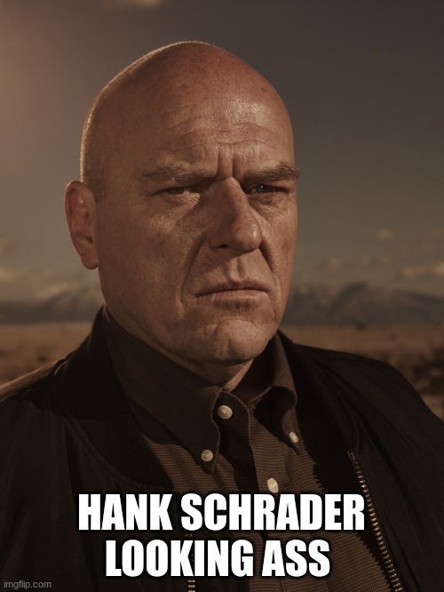 Hank Schrader - Breaking Bad - Dean Norris | HANK SCHRADER LOOKING ASS | image tagged in hank schrader - breaking bad - dean norris | made w/ Imgflip meme maker