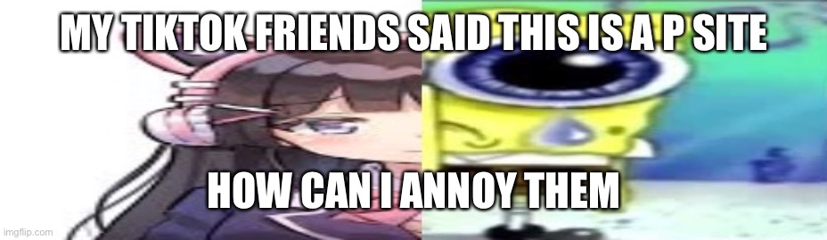 lol | MY TIKTOK FRIENDS SAID THIS IS A P SITE; HOW CAN I ANNOY THEM | image tagged in lol | made w/ Imgflip meme maker
