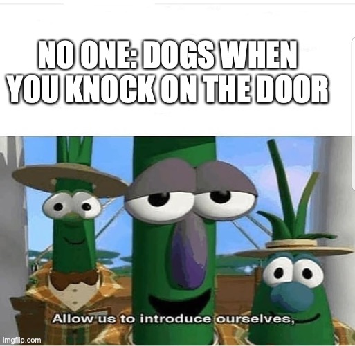 Barks aggressively ! | NO ONE: DOGS WHEN YOU KNOCK ON THE DOOR | image tagged in allow us to introduce ourselves,funny,dogs,meme | made w/ Imgflip meme maker