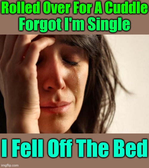 BEING SINGLE PROBLEMS | Rolled Over For A Cuddle; Forgot I'm Single; I Fell Off The Bed | image tagged in memes,first world problems,single life | made w/ Imgflip meme maker