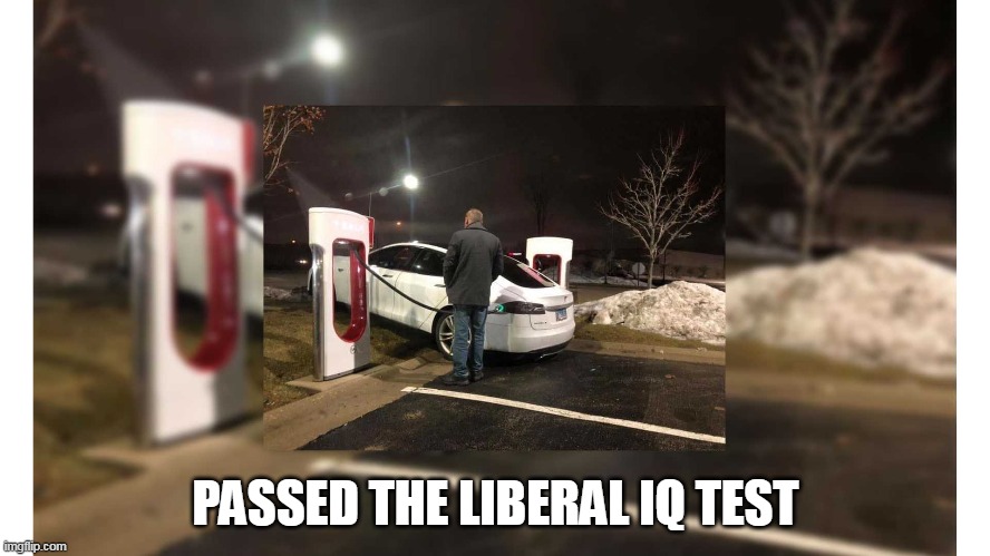 With FLYING COLORS | PASSED THE LIBERAL IQ TEST | image tagged in memes | made w/ Imgflip meme maker