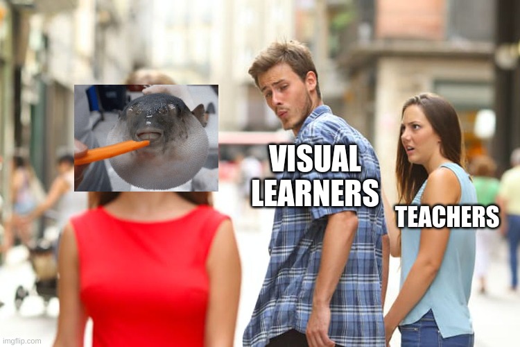 Q_Q | VISUAL LEARNERS; TEACHERS | image tagged in memes,distracted boyfriend | made w/ Imgflip meme maker