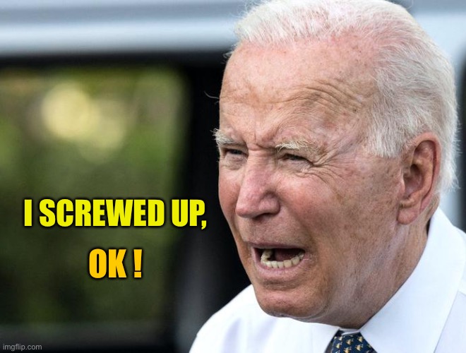 I screwed up | I SCREWED UP, OK ! | image tagged in i screwed up | made w/ Imgflip meme maker