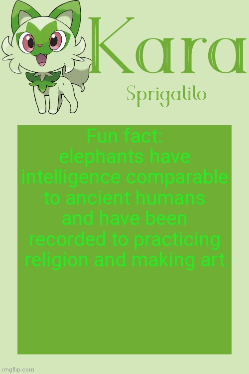 Kara Sprigatito temp | Fun fact: elephants have intelligence comparable to ancient humans and have been recorded to practicing religion and making art | image tagged in kara sprigatito temp | made w/ Imgflip meme maker