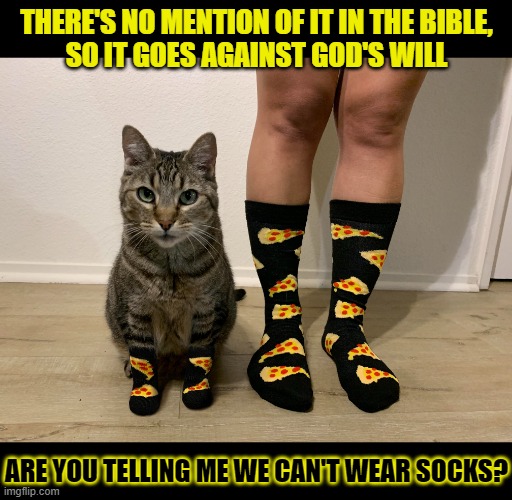 This #lolcat wonders if it goes against God's will if there's no mention in the Bible | THERE'S NO MENTION OF IT IN THE BIBLE,
SO IT GOES AGAINST GOD'S WILL; ARE YOU TELLING ME WE CAN'T WEAR SOCKS? | image tagged in lolcat,bible,god,forbidden,socks | made w/ Imgflip meme maker
