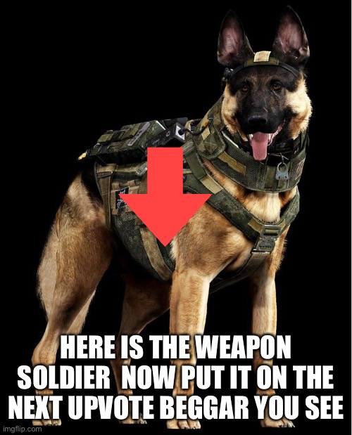 army dog | HERE IS THE WEAPON SOLDIER  NOW PUT IT ON THE NEXT UPVOTE BEGGAR YOU SEE | image tagged in army dog | made w/ Imgflip meme maker