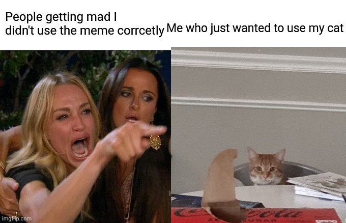 His name is Cooper Cat | People getting mad I didn't use the meme corrcetly; Me who just wanted to use my cat | image tagged in cats | made w/ Imgflip meme maker