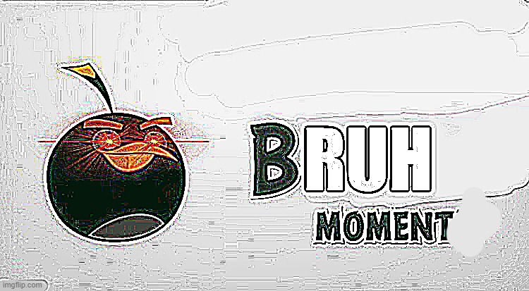 Bruh Moments | image tagged in bruh moments | made w/ Imgflip meme maker