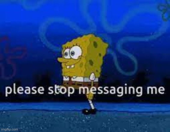 please stop messaging me | image tagged in please stop messaging me | made w/ Imgflip meme maker