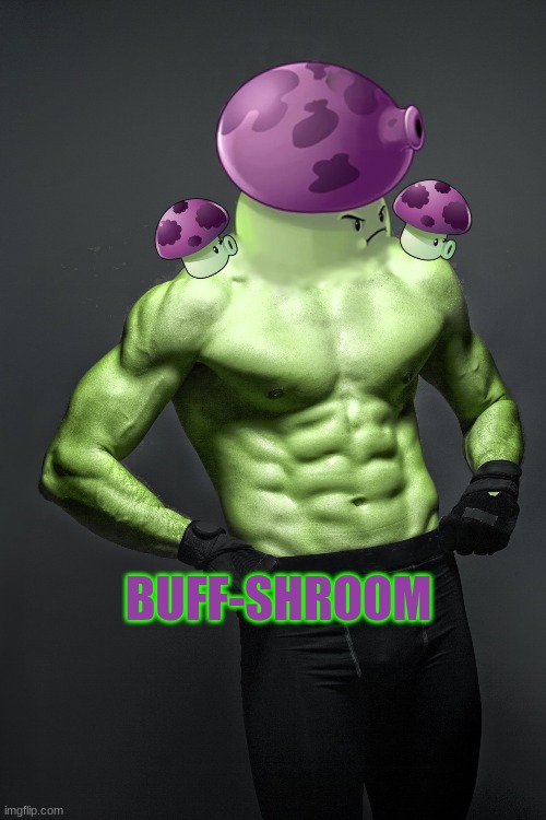 buff-shroom | BUFF-SHROOM | image tagged in pvz | made w/ Imgflip meme maker