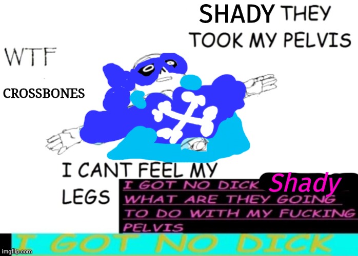 SHADY; CROSSBONES; Shady | made w/ Imgflip meme maker