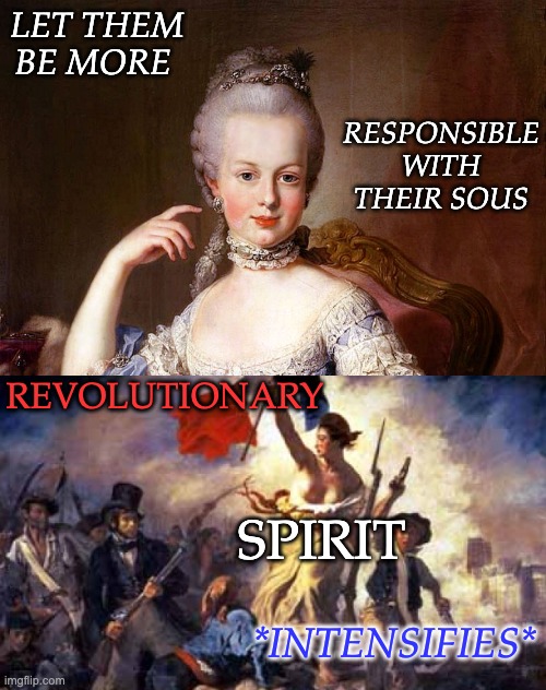 Wealth gaps are dangerous . . . it's been done | LET THEM BE MORE; RESPONSIBLE WITH THEIR SOUS; REVOLUTIONARY; SPIRIT; *INTENSIFIES* | image tagged in marie antoinette,french revolution | made w/ Imgflip meme maker