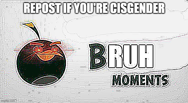 Bruh Moments | REPOST IF YOU'RE CISGENDER | image tagged in bruh moments | made w/ Imgflip meme maker