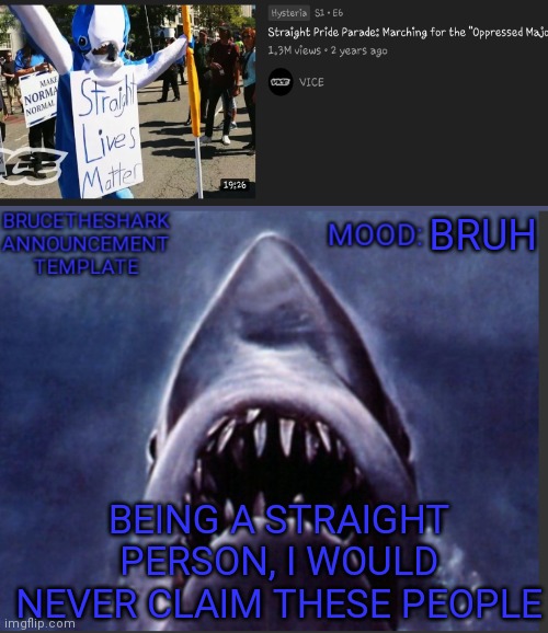 Being a straight, i can safely say that straights aren't oppressed | BRUH; BEING A STRAIGHT PERSON, I WOULD NEVER CLAIM THESE PEOPLE | image tagged in brucetheshark announcement temp | made w/ Imgflip meme maker