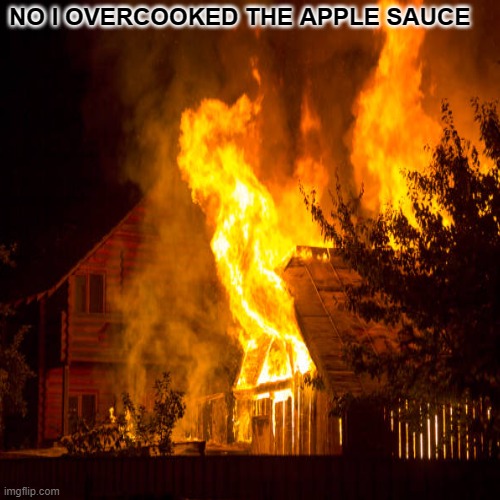 Applesauce | NO I OVERCOOKED THE APPLE SAUCE | image tagged in memes,funny,apple | made w/ Imgflip meme maker