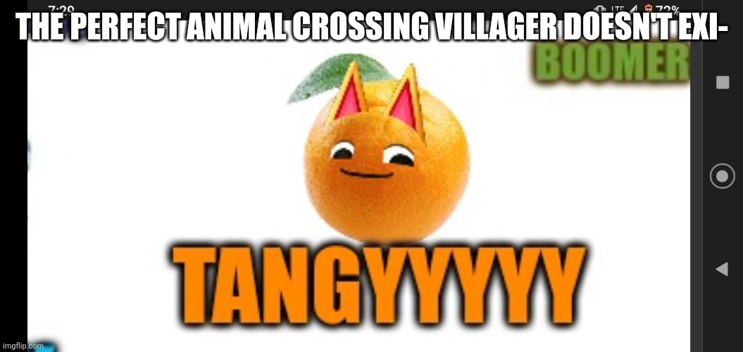 THE PERFECT ANIMAL CROSSING VILLAGER DOESN'T EXI- | made w/ Imgflip meme maker