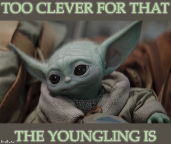 TOO CLEVER FOR THAT THE YOUNGLING IS | made w/ Imgflip meme maker