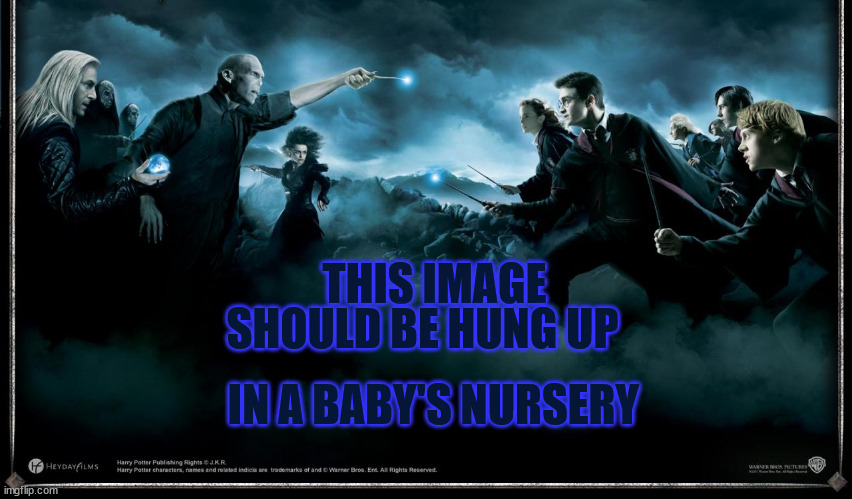 Harry potter fighting | SHOULD BE HUNG UP; THIS IMAGE; IN A BABY'S NURSERY | image tagged in harry potter fighting,memes | made w/ Imgflip meme maker