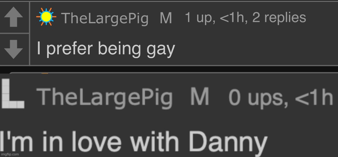 image tagged in thelargepig gay confirmed,thelargepig gay confirmed part 2 | made w/ Imgflip meme maker