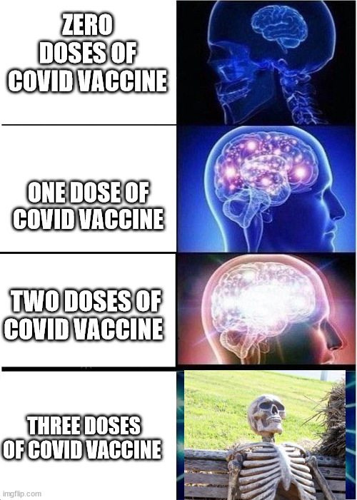 COVID VACCINES | ZERO DOSES OF COVID VACCINE; ONE DOSE OF COVID VACCINE; TWO DOSES OF COVID VACCINE; THREE DOSES OF COVID VACCINE | image tagged in 500 iq,covid-19,vaccines | made w/ Imgflip meme maker