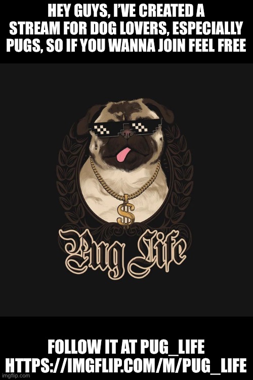 Join if you dare XP | HEY GUYS, I’VE CREATED A STREAM FOR DOG LOVERS, ESPECIALLY PUGS, SO IF YOU WANNA JOIN FEEL FREE; FOLLOW IT AT PUG_LIFE HTTPS://IMGFLIP.COM/M/PUG_LIFE | image tagged in pug life | made w/ Imgflip meme maker