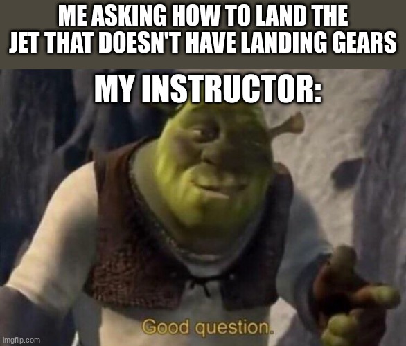 good question | ME ASKING HOW TO LAND THE JET THAT DOESN'T HAVE LANDING GEARS; MY INSTRUCTOR: | image tagged in shrek good question,death | made w/ Imgflip meme maker