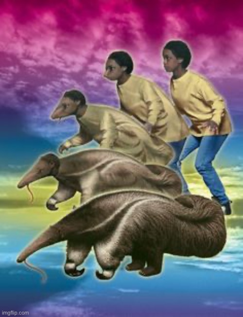 shapeshifter- | made w/ Imgflip meme maker