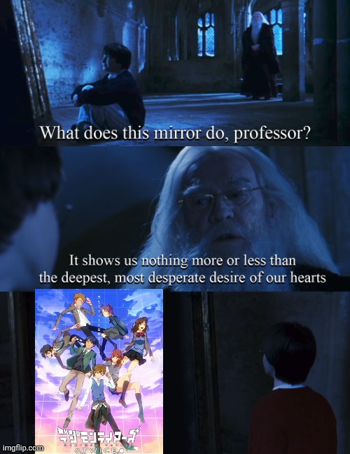 Digimon Tamers sequel! COME ON, TOEI! | image tagged in harry potter mirror,digimon | made w/ Imgflip meme maker