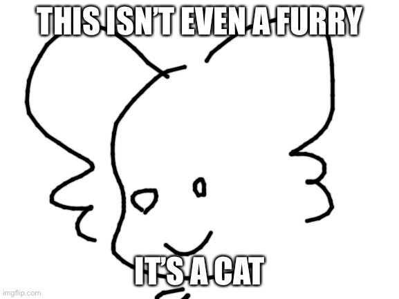 Wwwwww | THIS ISN’T EVEN A FURRY; IT’S A CAT | image tagged in blank white template,furry,fun,why,no,oh god why | made w/ Imgflip meme maker