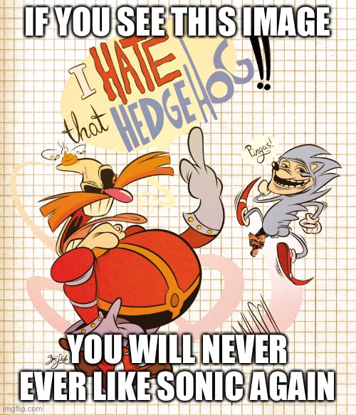 Do not look at if you’re a fan of sonic | IF YOU SEE THIS IMAGE; YOU WILL NEVER EVER LIKE SONIC AGAIN | image tagged in sonic the hedgehog | made w/ Imgflip meme maker