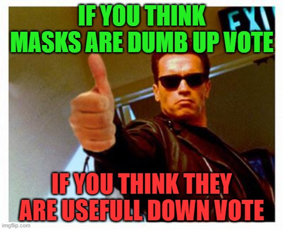 terminator thumbs up | IF YOU THINK MASKS ARE DUMB UP VOTE; IF YOU THINK THEY ARE USEFULL DOWN VOTE | image tagged in terminator thumbs up | made w/ Imgflip meme maker