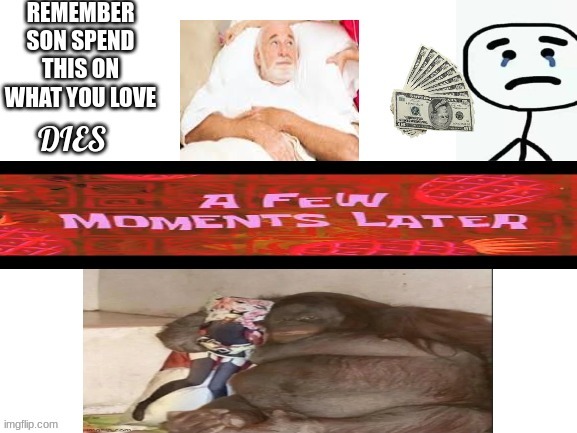 spending grandpas money | image tagged in monkey,spending,money | made w/ Imgflip meme maker