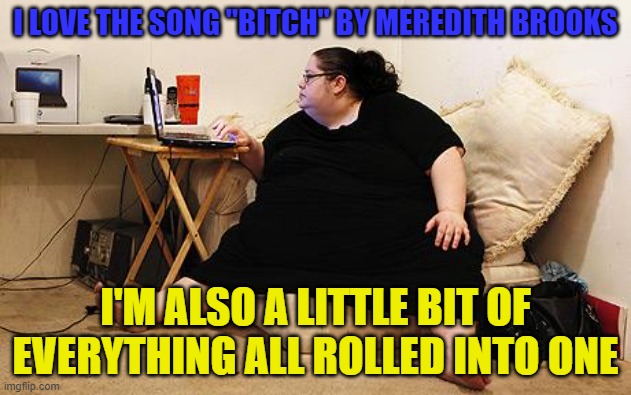 Obese Woman at Computer | I LOVE THE SONG "BITCH" BY MEREDITH BROOKS; I'M ALSO A LITTLE BIT OF EVERYTHING ALL ROLLED INTO ONE | image tagged in obese woman at computer,memes,song,bitch,fat woman,90's | made w/ Imgflip meme maker