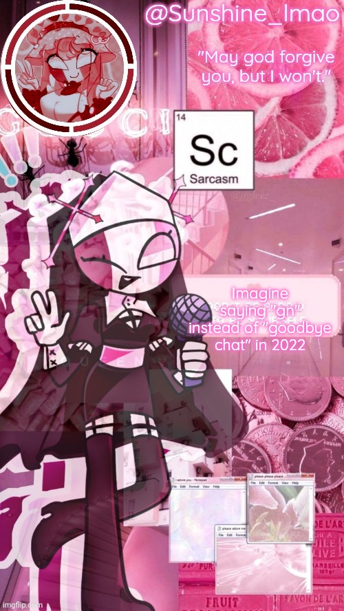 Sunshine's Sarvente Temp | Imagine saying "gn" instead of "goodbye chat" in 2022 | image tagged in sunshine's sarvente temp | made w/ Imgflip meme maker