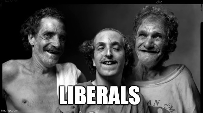 LIBERALS | made w/ Imgflip meme maker