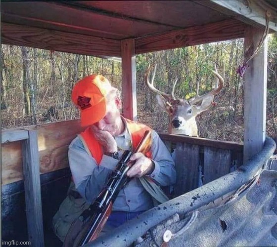 deer hunter | image tagged in deer hunter | made w/ Imgflip meme maker